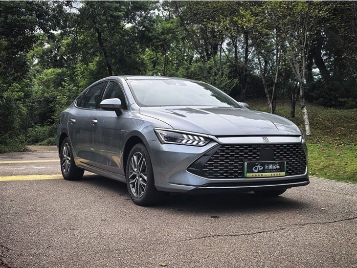 2023 BYD Qin PLUS Champion Edition DM-i 120KM Transcend Edition suppliers