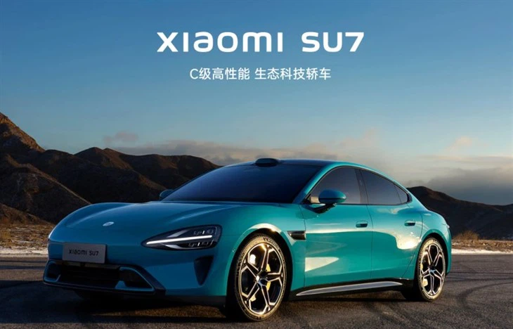 1744081286405_ 1744081286405_